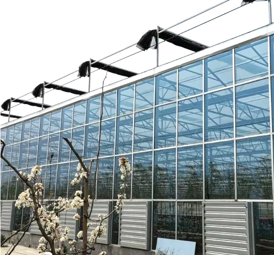 Glass Greenhouse for Flowers and Vegetable Planting