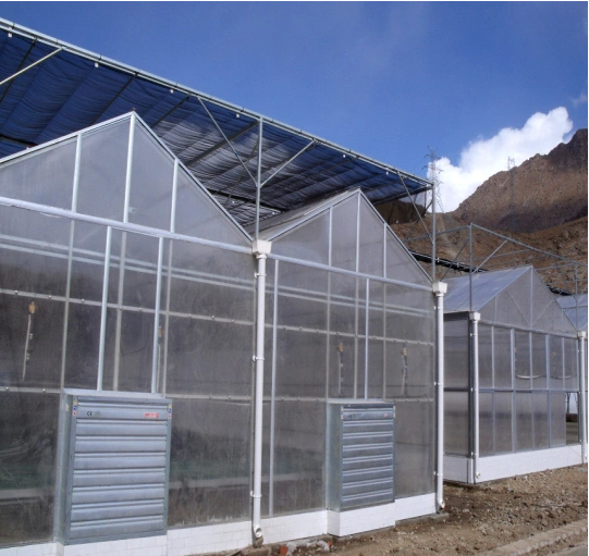 PC Sheet / Polycarbonate Greenhouse for Flower Growing
