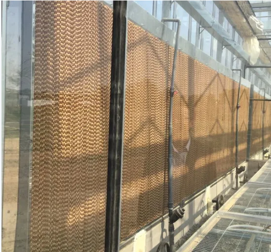 China Supplier Multi-Span Glass Greenhouse for Hot Sale