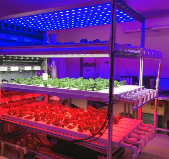 120X3W LED Grow Llighting-Bozong Greenhouse