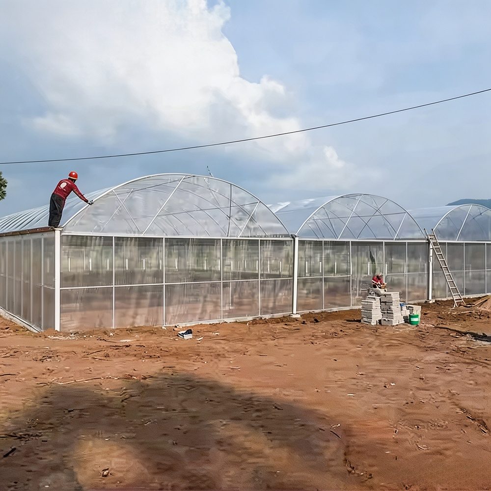 Roof film covering installation on a multi-span greenhouse