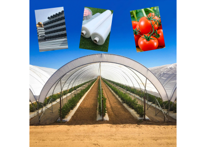 Optimizing Space Utilization of Plastic Greenhouses