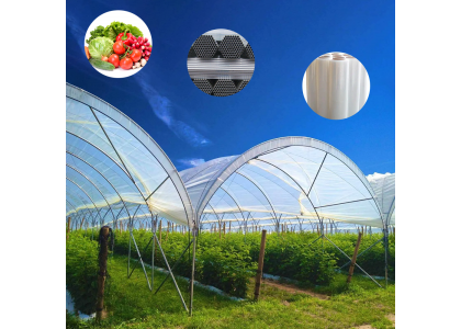 Domestic and International Greenhouse Industry: Current Development Status