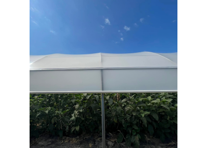 Five Suggestions for Improving Greenhouse Efficiency