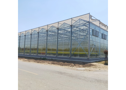 FAO Emergency Projects Aid Gaza’s Agricultural Recovery 