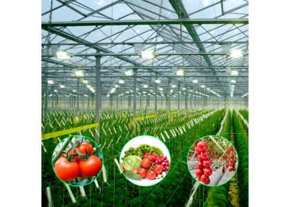 Global Agricultural Facilities: Core Functions & Advancements