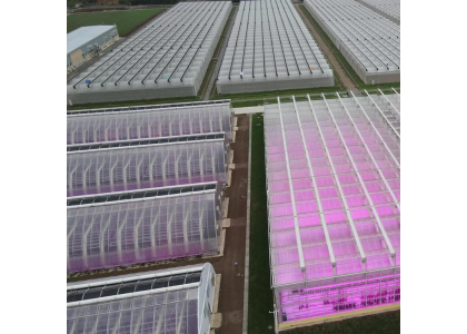 Siemens Subsidiary Launches High-Efficiency LED Greenhouse Grow Lights