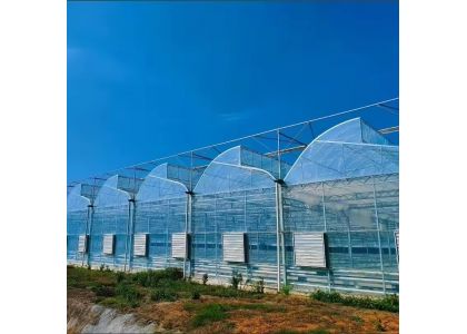Choosing a Greenhouse for Hot, Humid Climates