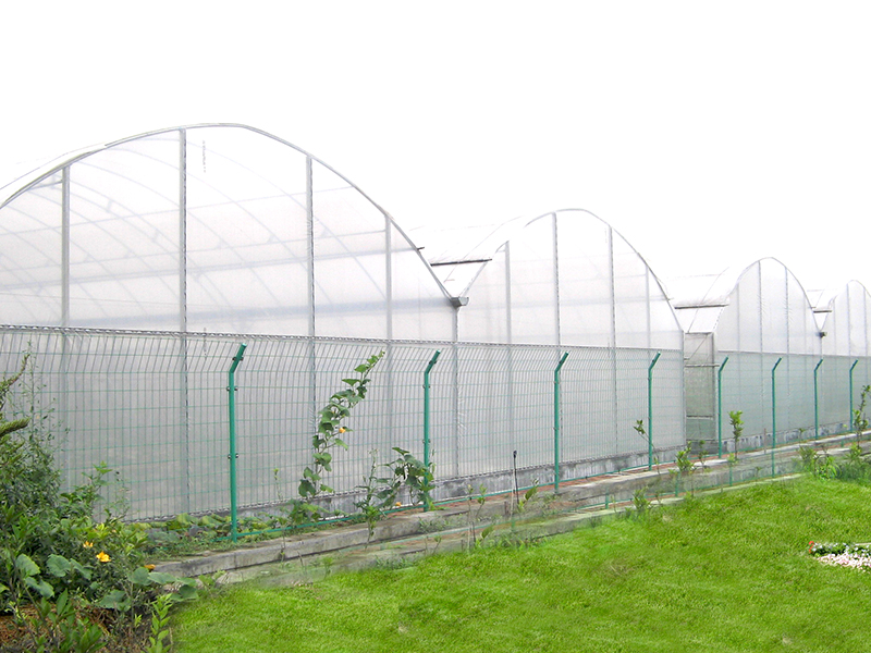 Greenhouse with Plastic Film