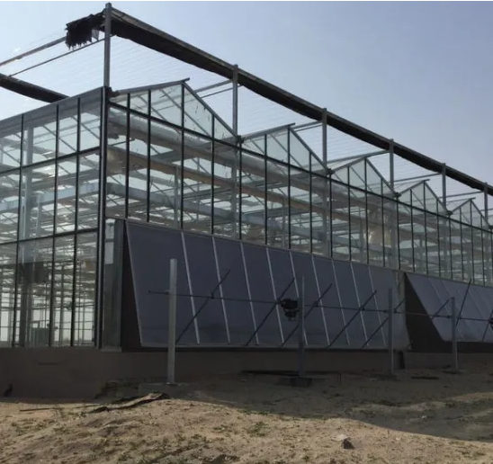 Large Multi-Span PC Greenhouse for Vegetable