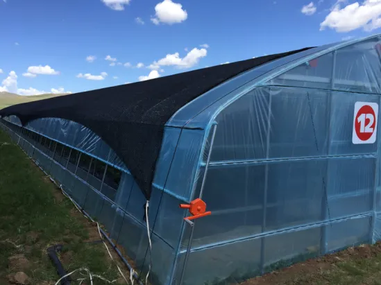 Low Crops Plastic Film Tunnel Green House