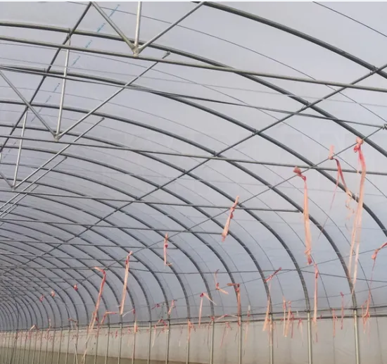Tunnel Plastic Film Green House for Vegetable Growing