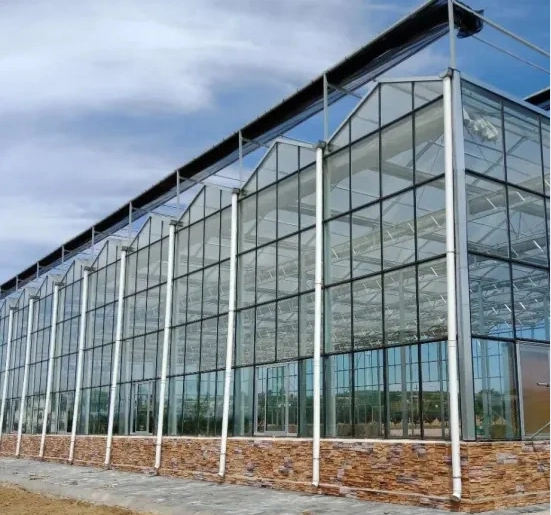 Glass Greenhouse for Flowers and Vegetable Planting