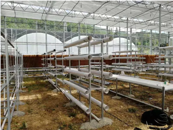 Hydroponics Drip Irrigation System for Vegetable