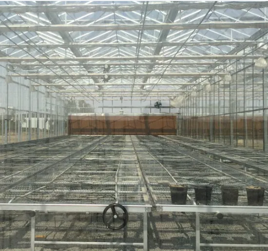 Large Multi-Span PC Greenhouse for Vegetable