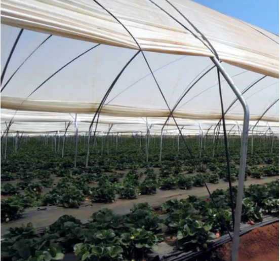 Tunnel Plastic Film PC PE Polytunnel Greenhouse Material Hydroponics System Planting Tools