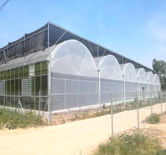 Multi Span Agricultural Film Hydroponics Irrigation System Plastic Film /Po film Greenhouse for Sale