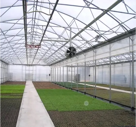 Polycarbonate Material Polycarbonate Sheet PC Used Commercial Greenhouse
