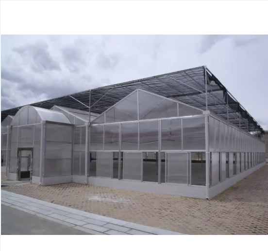 Polycarbonate Material Polycarbonate Sheet PC Used Commercial Greenhouse