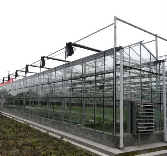 Large Multi-Span Polycarbonate Sheet Glass Greenhouse