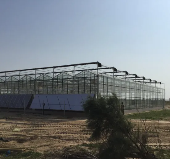 Scientific Research Greenhouse for Sale in Kuwait