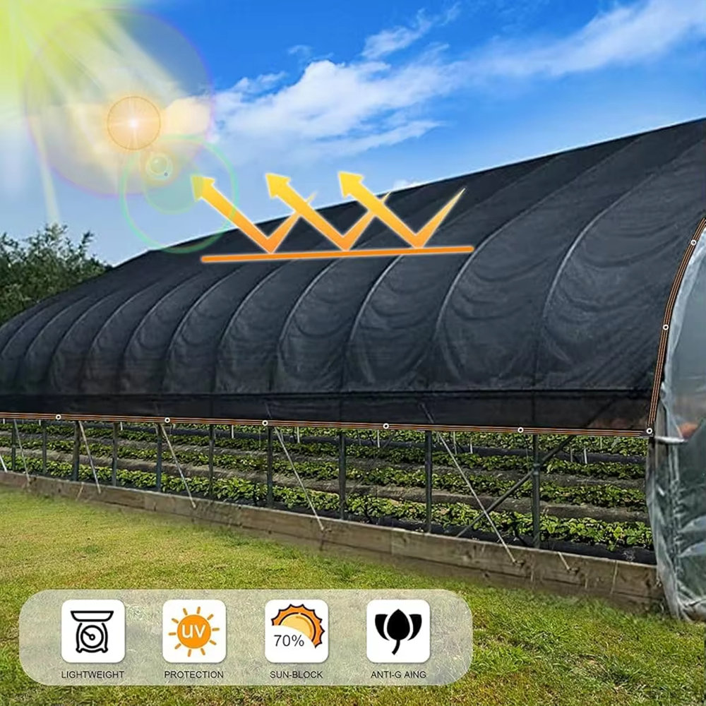 PE Film Greenhouse with Galvanized Frame for Commercial Farms