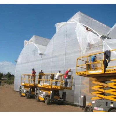 The Great Single Span Large Film Greenhouse for Flowers/Lettuce