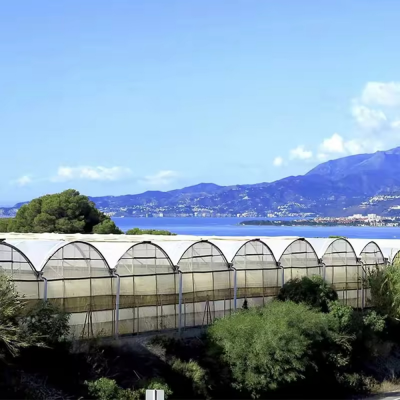 controlled environment agriculture,crop protection,galvanized steel frame,greenhouse farming,horticultural structures